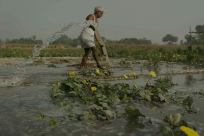 เทคโนโลยี สร้างชุมชนดิจิทัลกรีน คนอินเดีย ชุมชนสีเขียว DigitalGreen