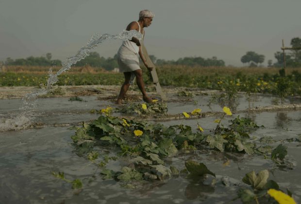 ชุมชนสีเขียว DigitalGreen