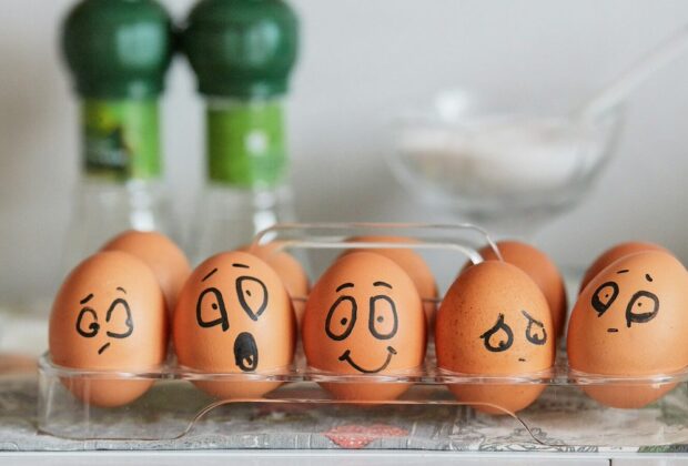 ความฉลาดทางอารมณ์ EI Emotional Intelligence